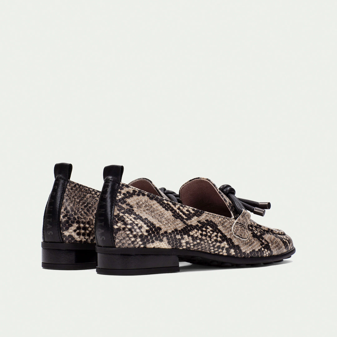 Hispanitas Genova anaconda