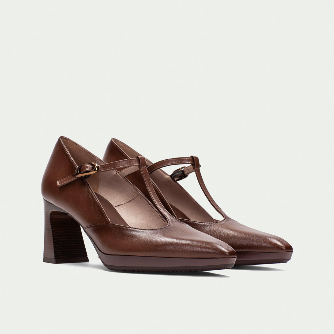 Hispanitas Atlanta avellana