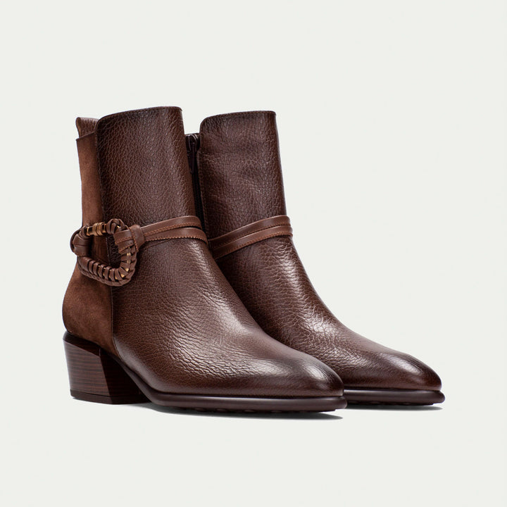 Hispanitas Verona avellana