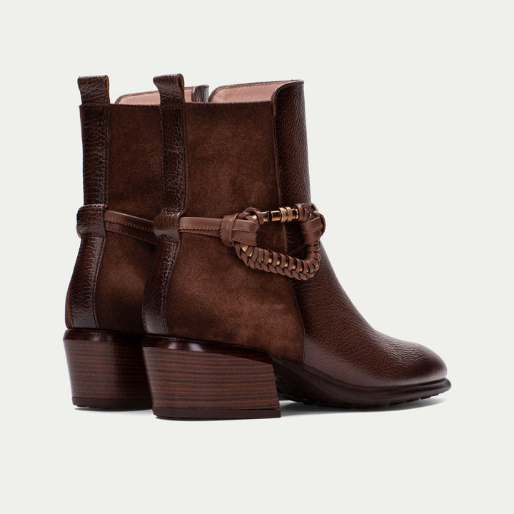 Hispanitas Verona avellana