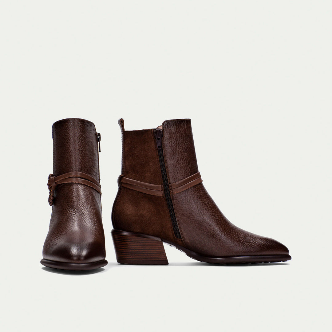 Hispanitas Verona avellana