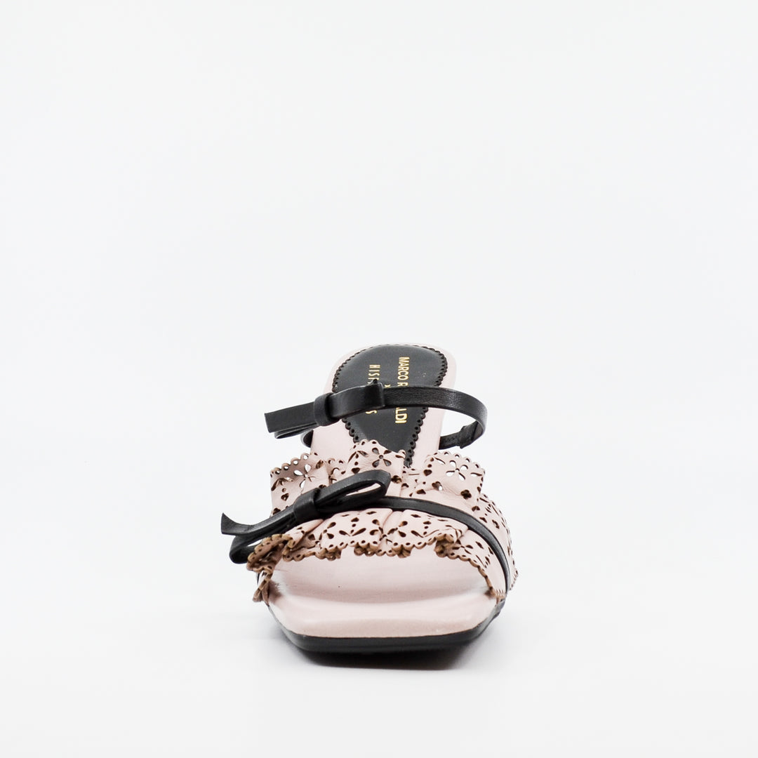 Hispanitas Goya rose