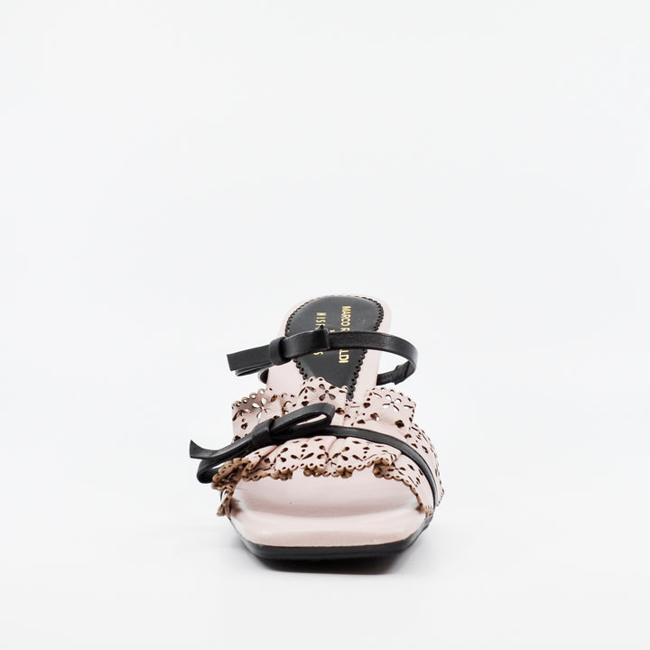 Hispanitas Goya rose