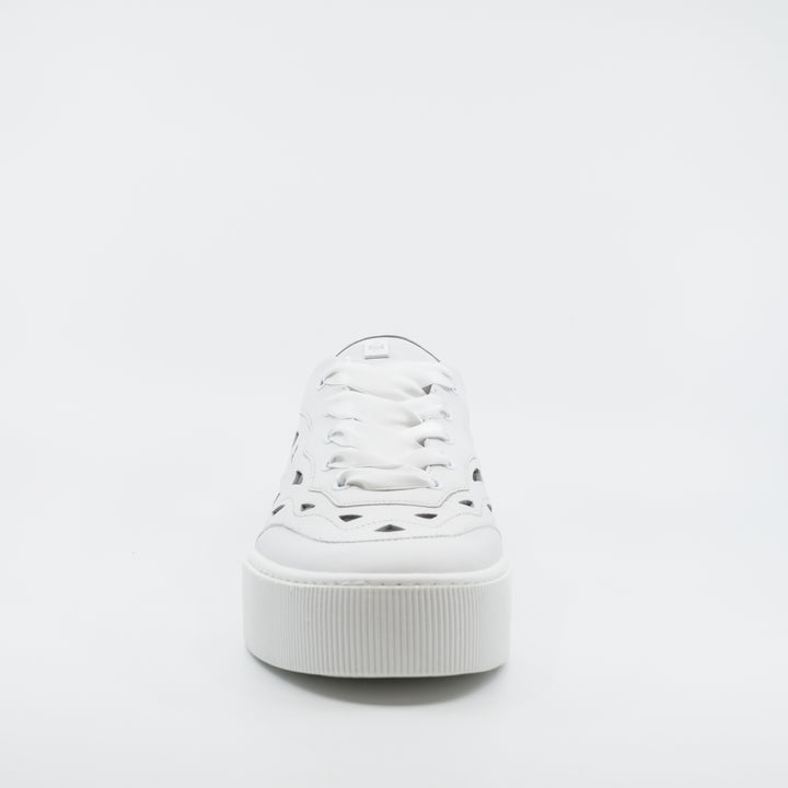 Hogl 3640 white