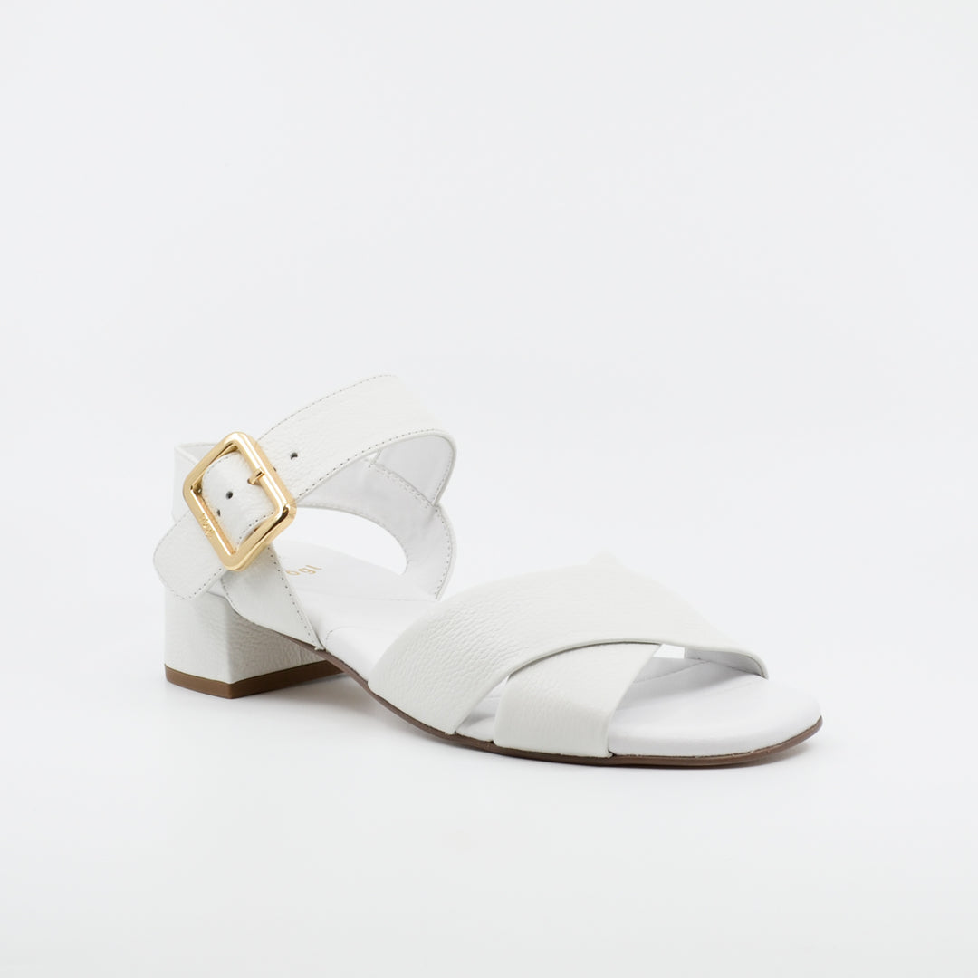 Hogl 2623 white