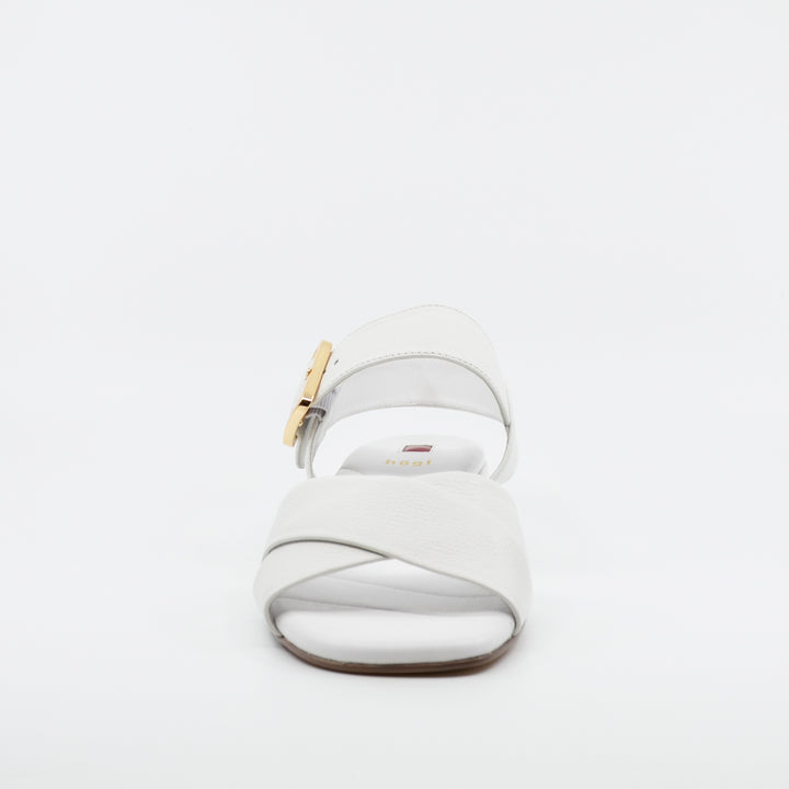 Hogl 2623 white