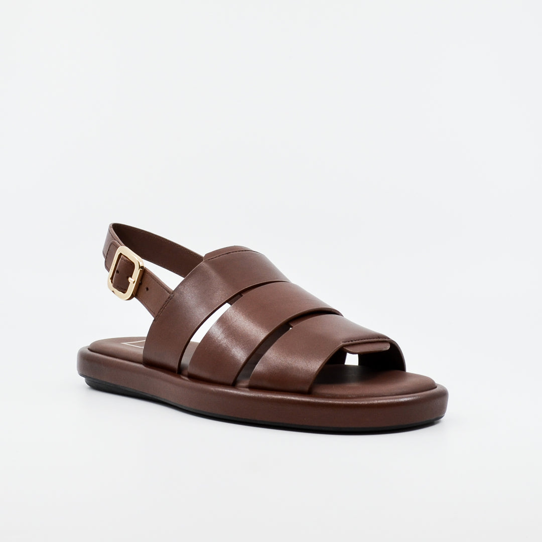 Hogl 0213 marrone