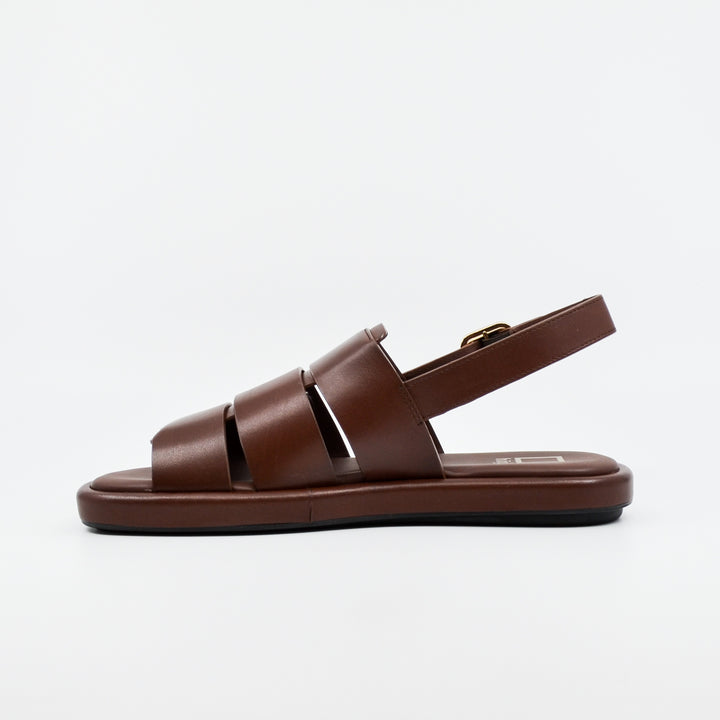 Hogl 0213 marrone
