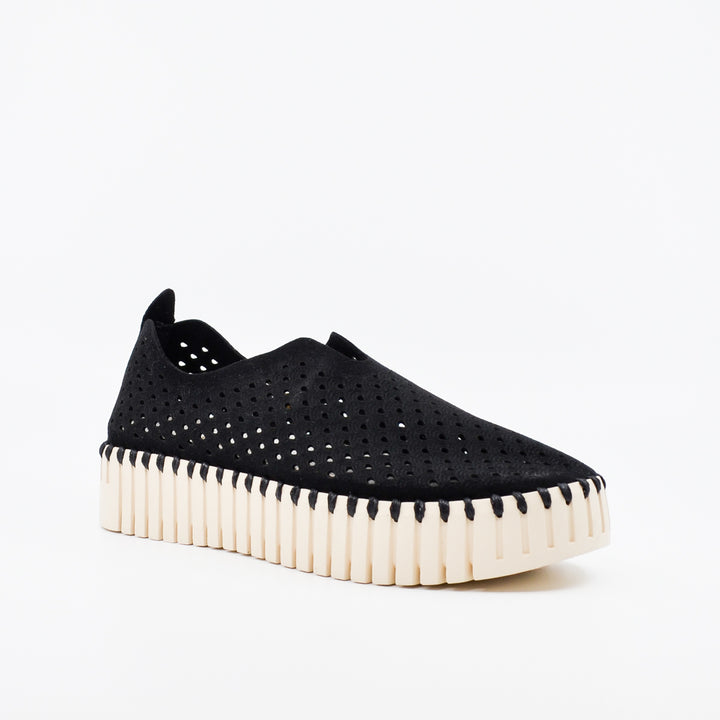 Ilse Jacobsen Tulip 3373 black