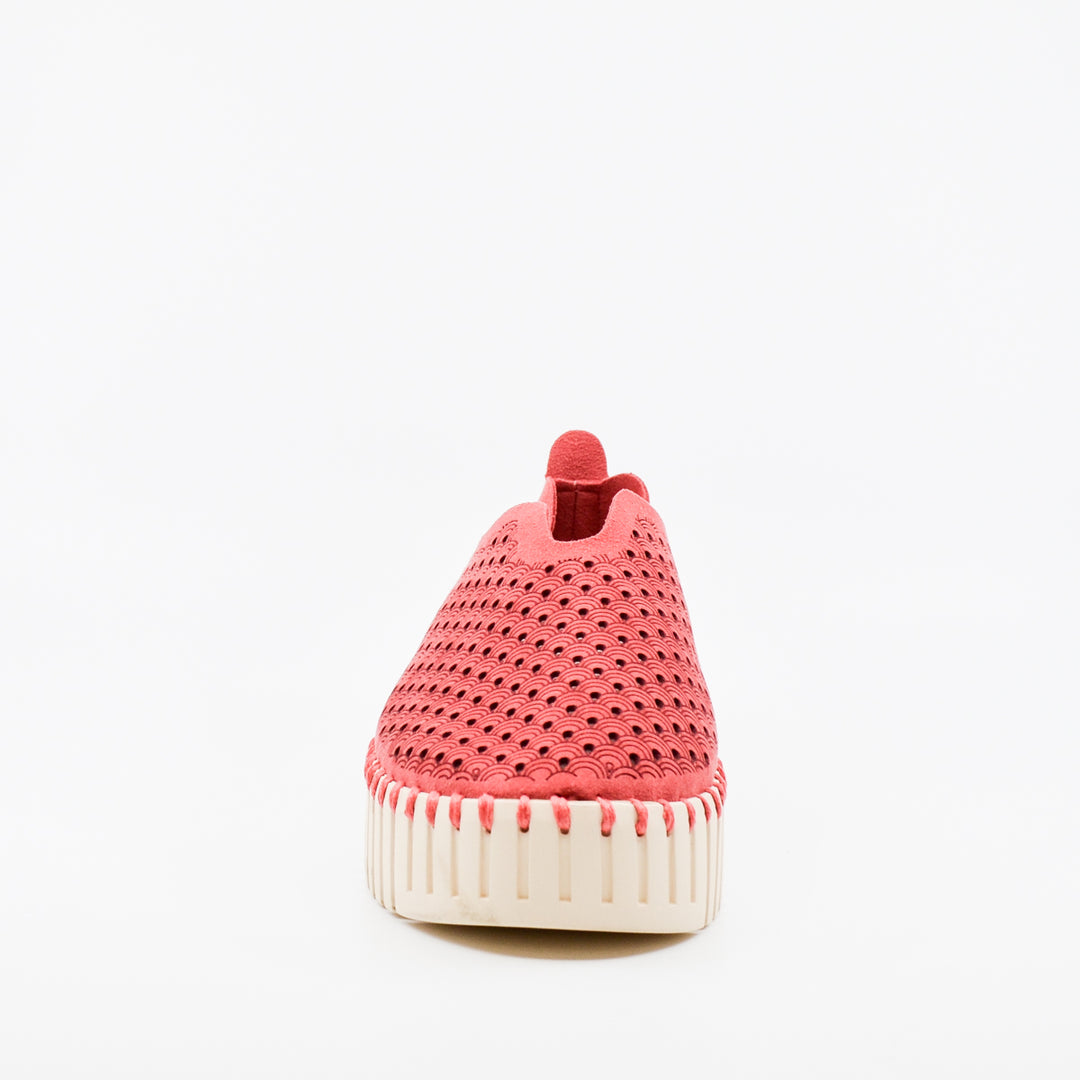 Ilse Jacobsen Tulip 3373 baked apple