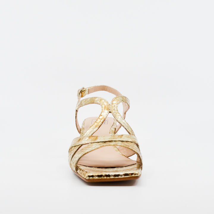 JONI 30015 gold