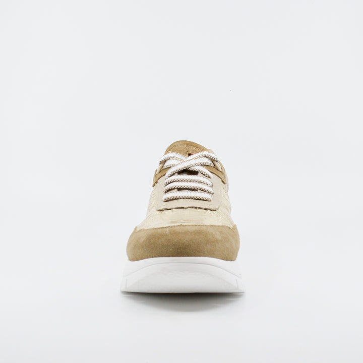 Jose Saenz 2287 champagne beige
