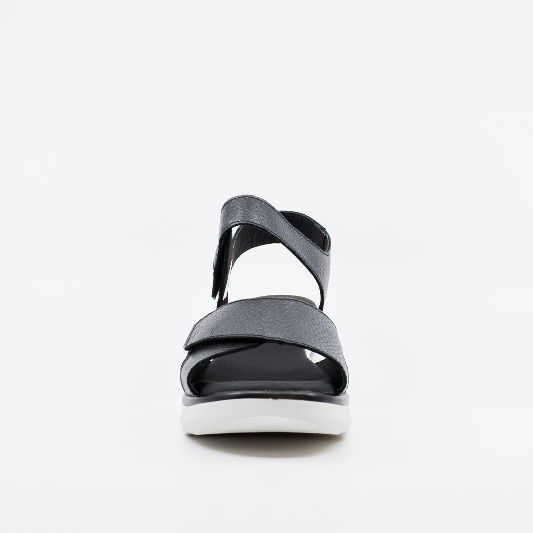 Pepe's Lucia black