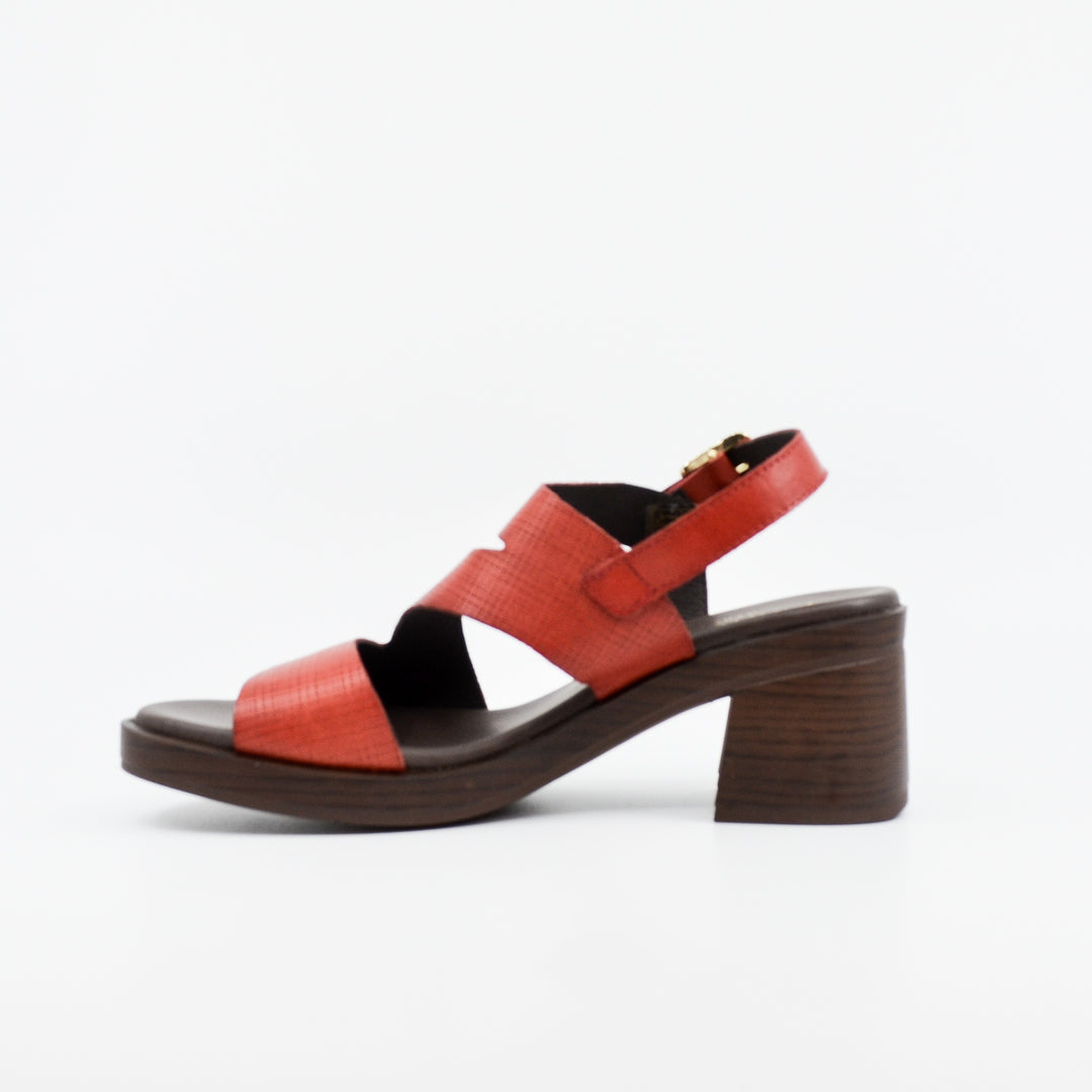 Paula Urban Paloma rojo