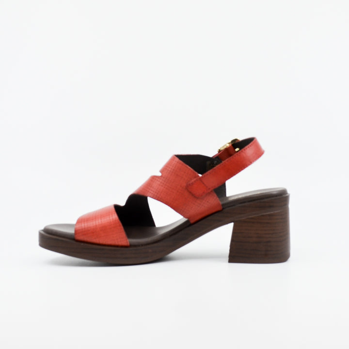 Paula Urban Paloma rojo