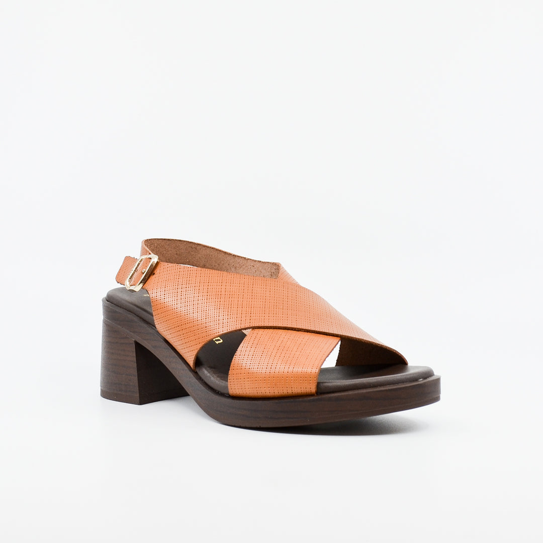 Paula Urban Pine avellana
