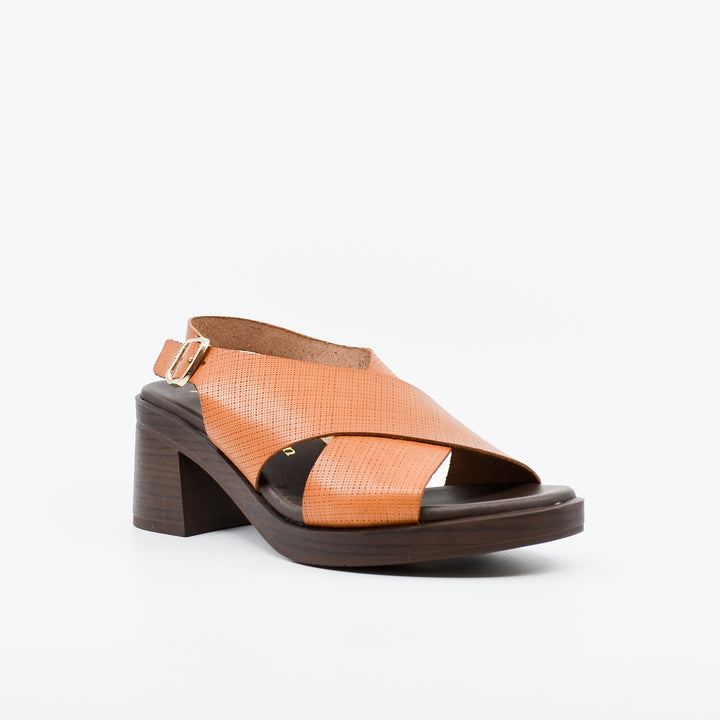Paula Urban Pine avellana