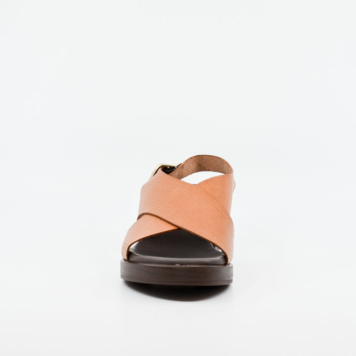 Paula Urban Pine avellana