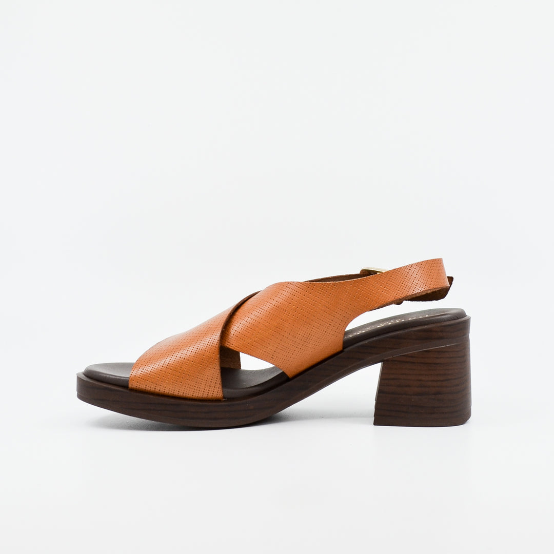 Paula Urban Pine avellana