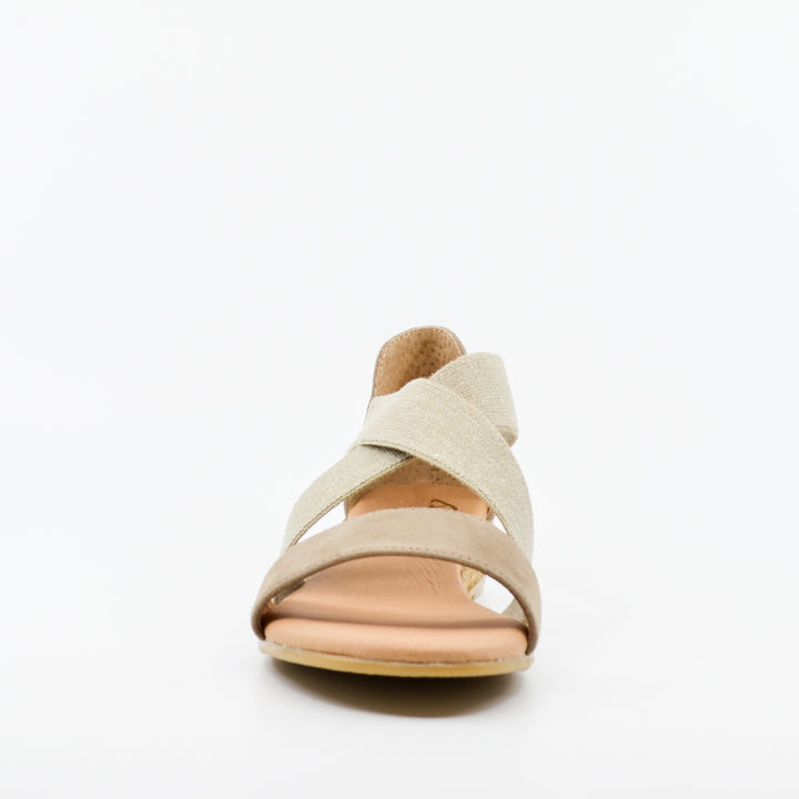 Pinaz 316 africa