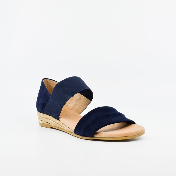 Pinaz 321 navy