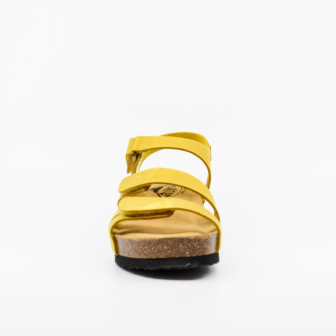 Plakton 826136 mustard