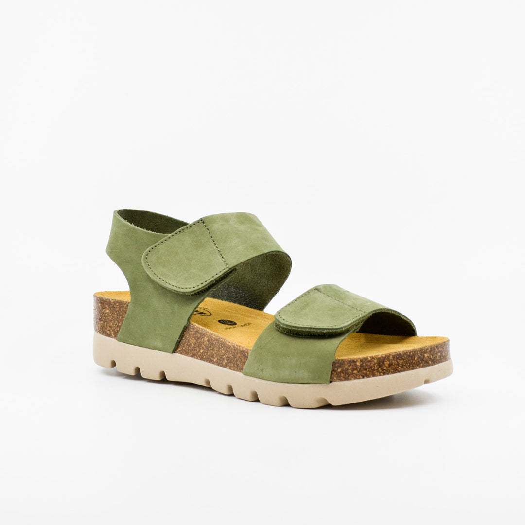 Plakton 355887 olive