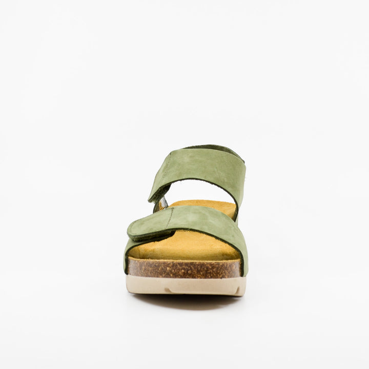 Plakton 355887 olive