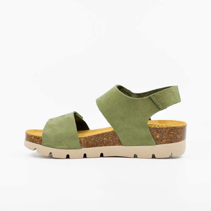 Plakton 355887 olive