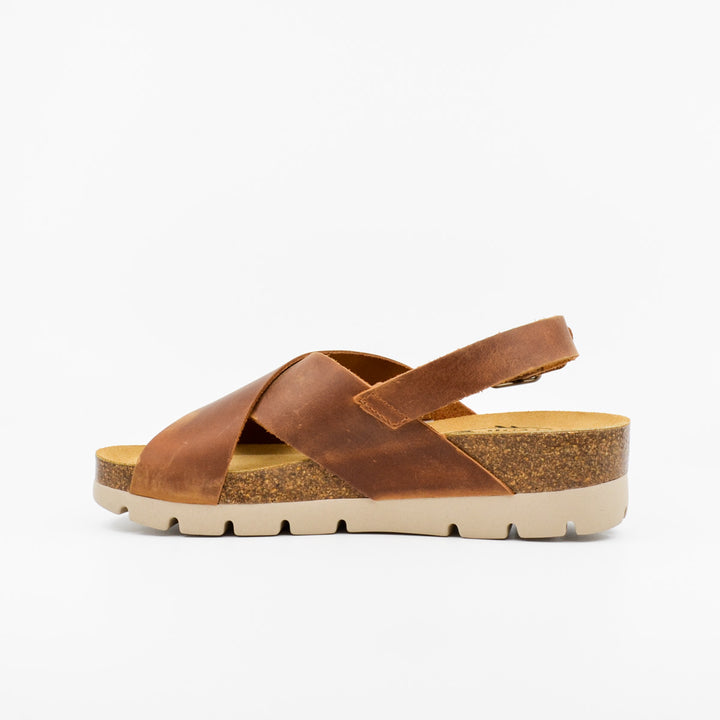 Plakton 356134 roble