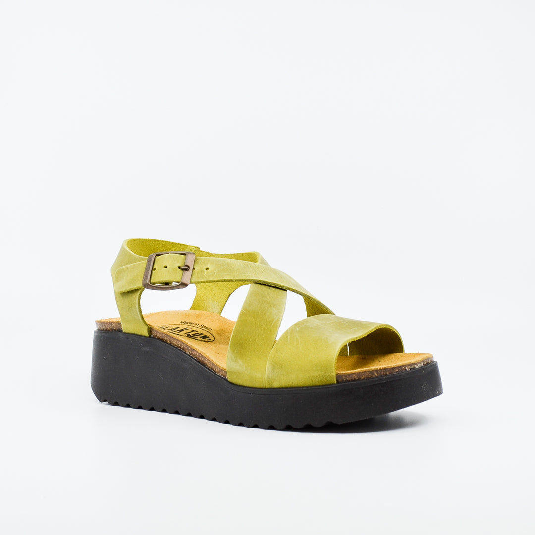 Plakton 336442 pistachio