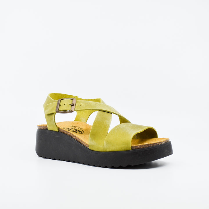 Plakton 336442 pistachio