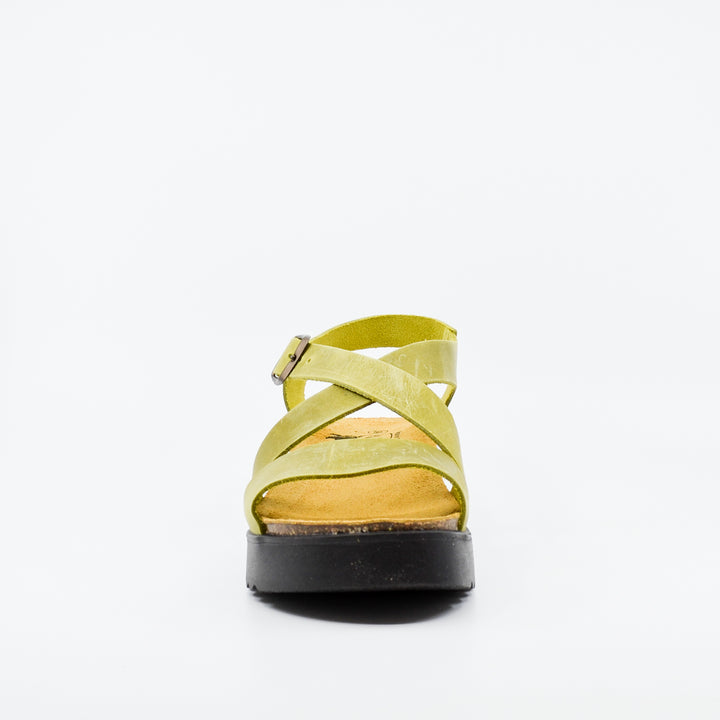 Plakton 336442 pistachio