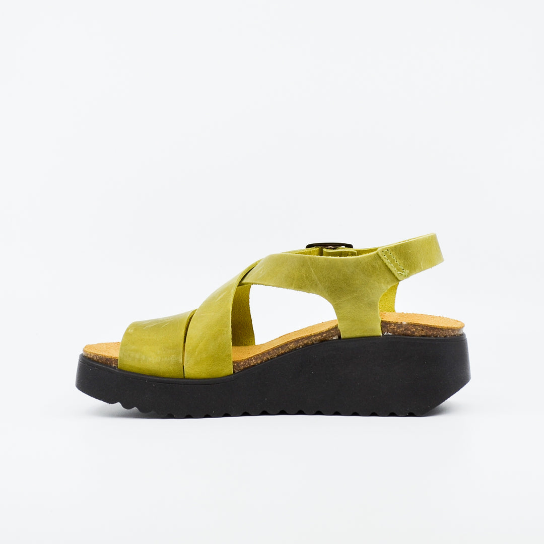 Plakton 336442 pistachio