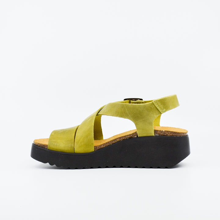 Plakton 336442 pistachio