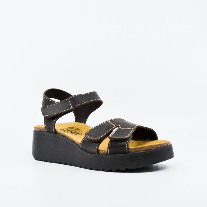 Plakton 336443 dark brown