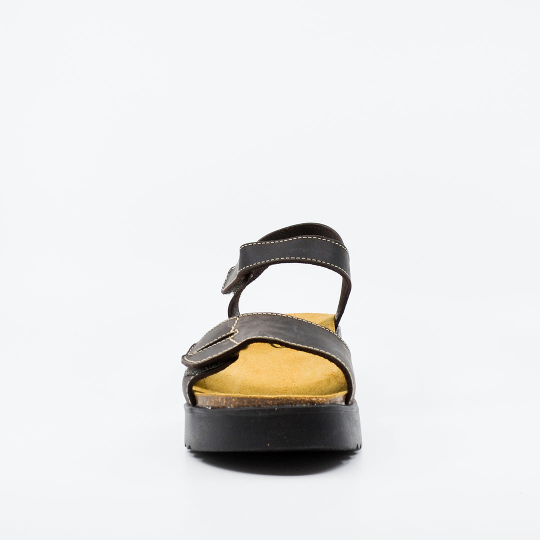Plakton 336443 dark brown