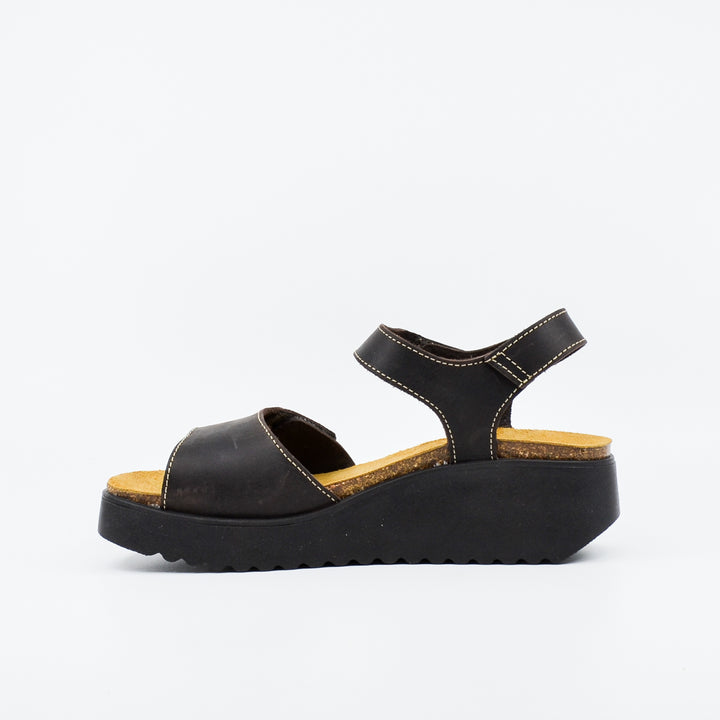 Plakton 336443 dark brown