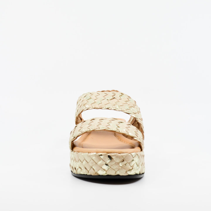 Pons Quintana Forli ivory