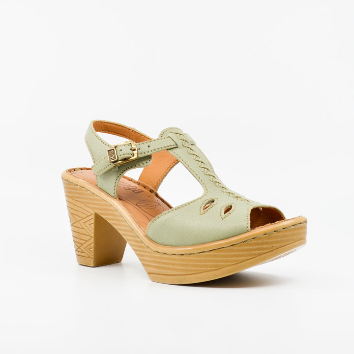 Tsonga Mekleza asparagus