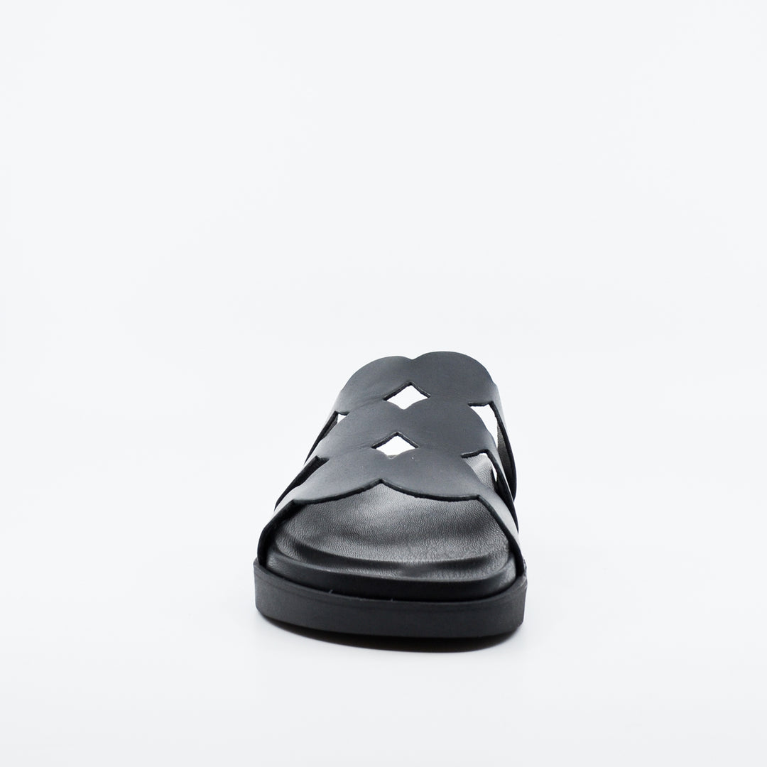 Wikers Terrigal black