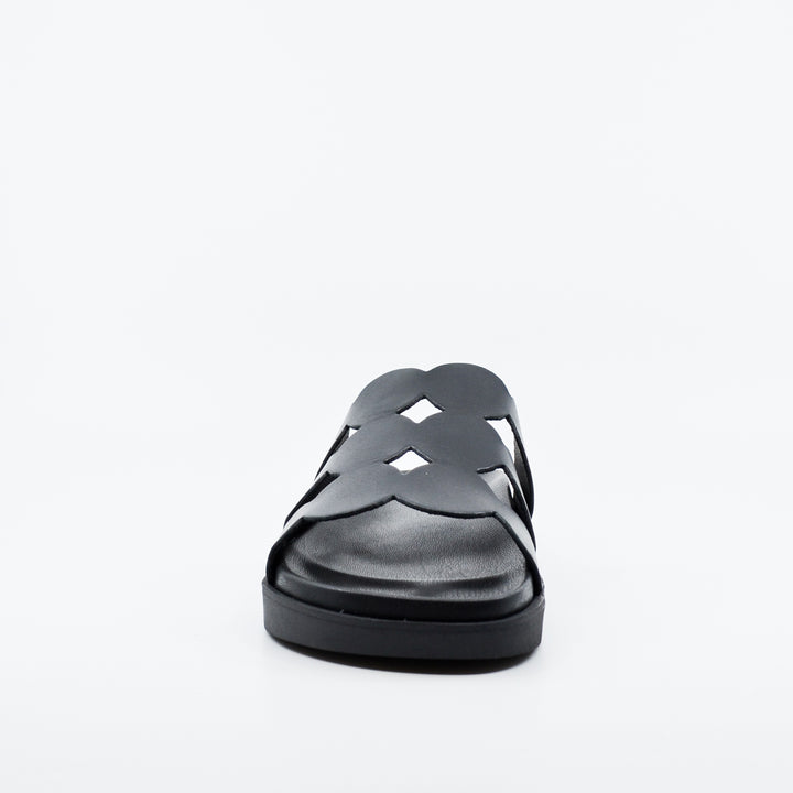 Wikers Terrigal black