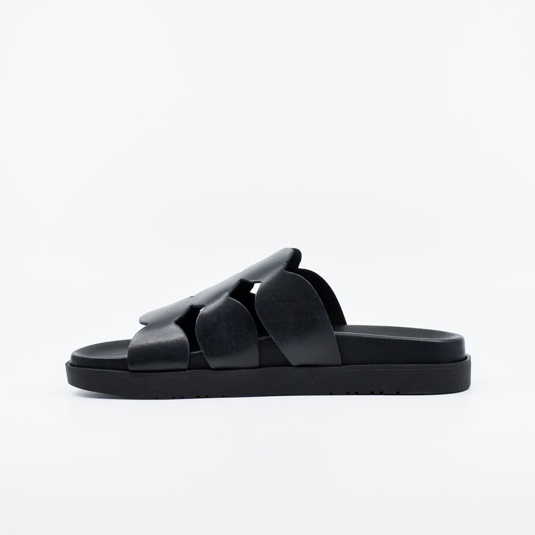 Wikers Terrigal black