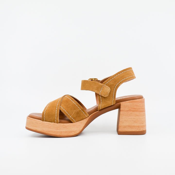 Wikers Torquay cuero