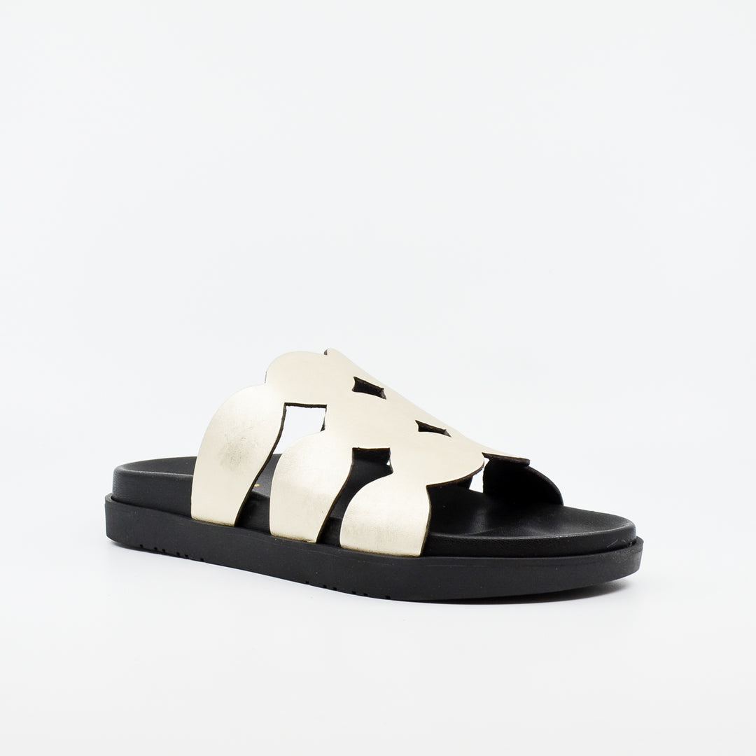 Wikers Terrigal platino