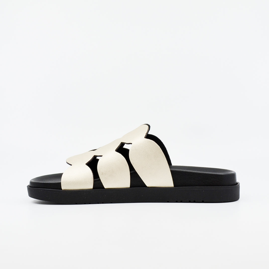 Wikers Terrigal platino