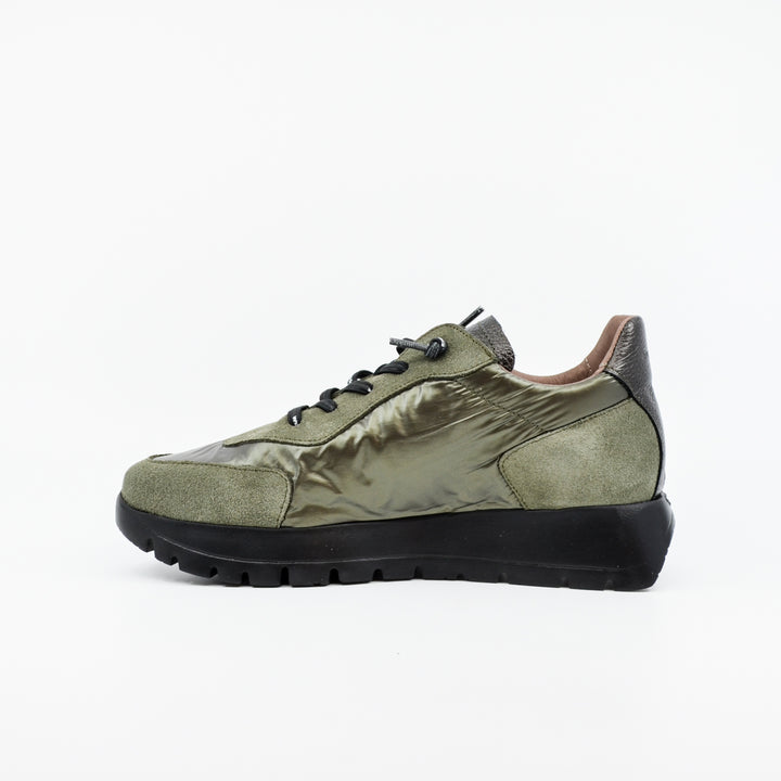 Wonders A-2464 olive & black