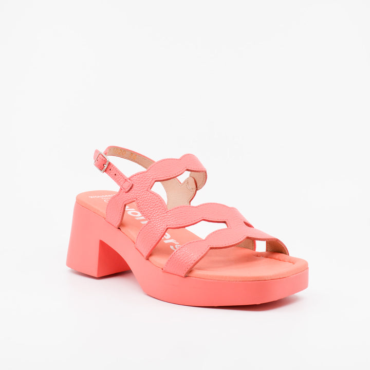Wonders D-1020 coral
