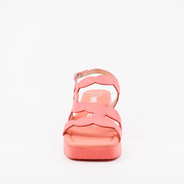 Wonders D-1020 coral
