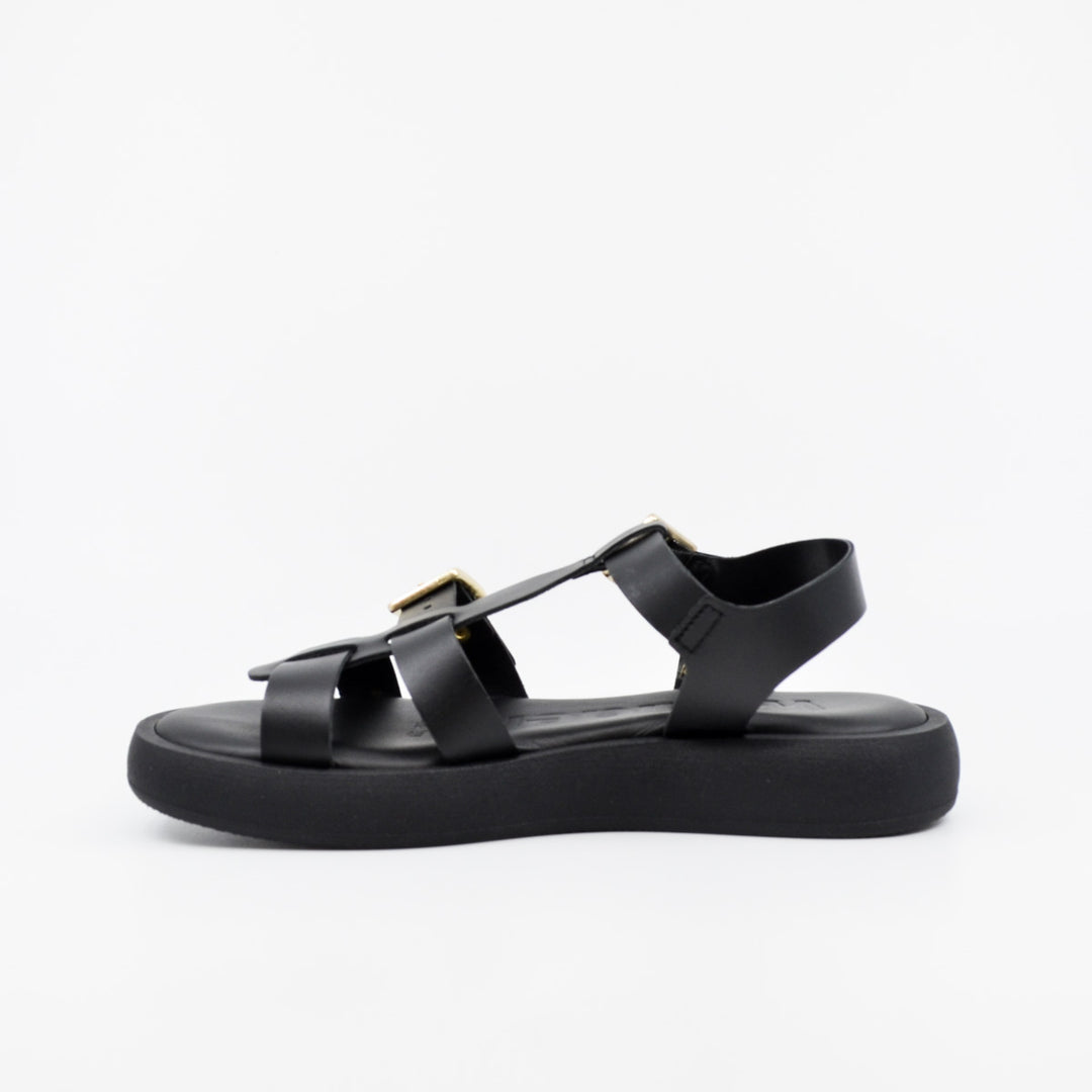 Wonders AB-1012 black